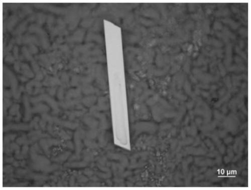 Gold phosphide nanosheets as well as controllable preparation method and application thereof