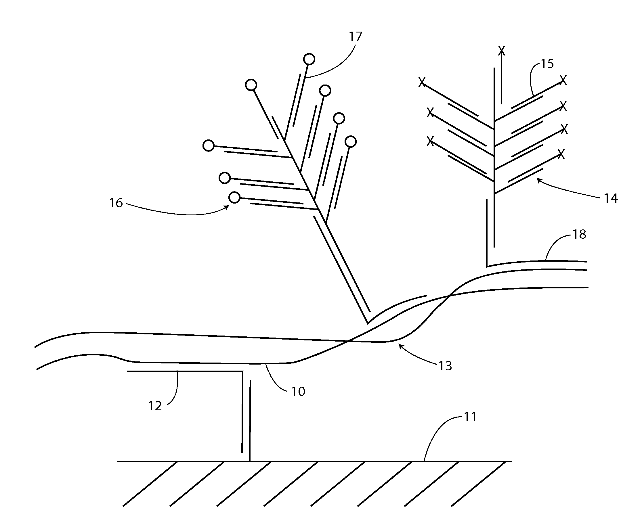 Detection of Nucleic Acids