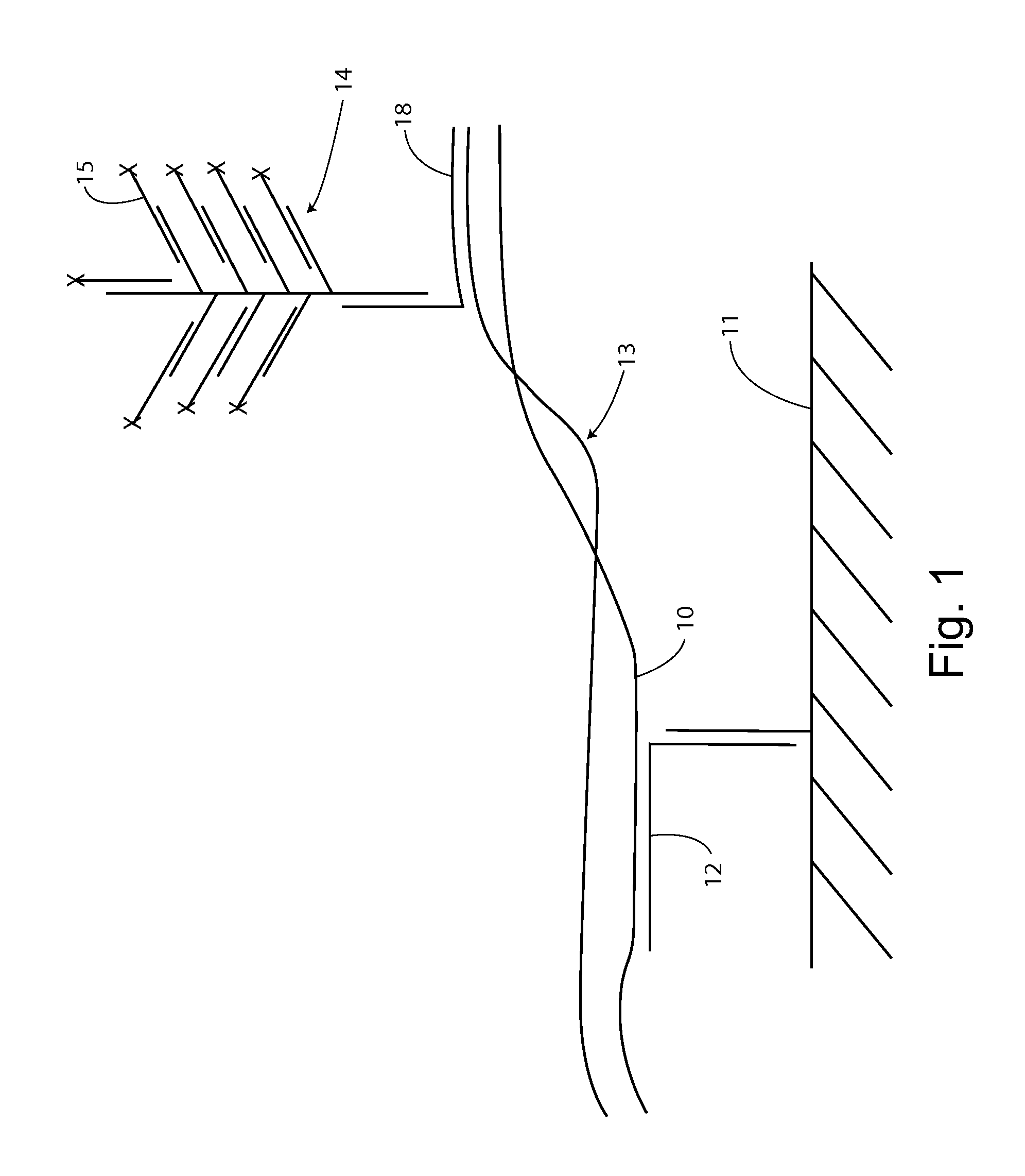 Detection of Nucleic Acids