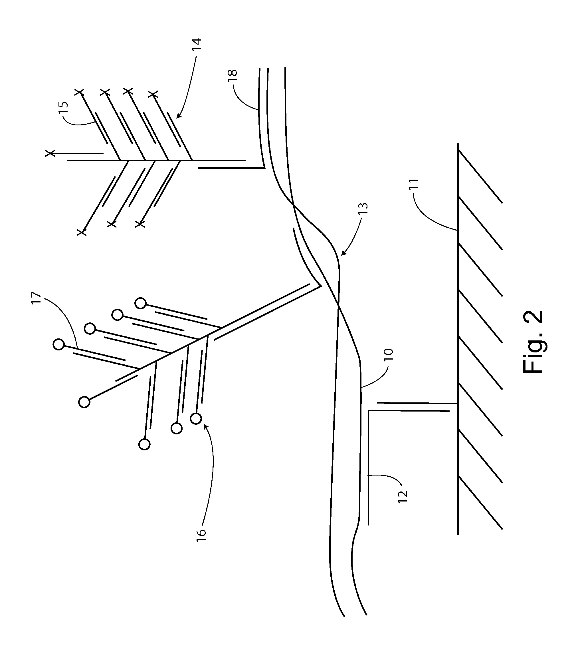 Detection of Nucleic Acids