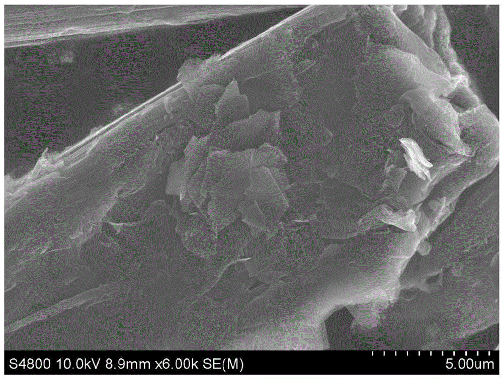 Preparing method for in-situ growth of graphene on graphite fibers