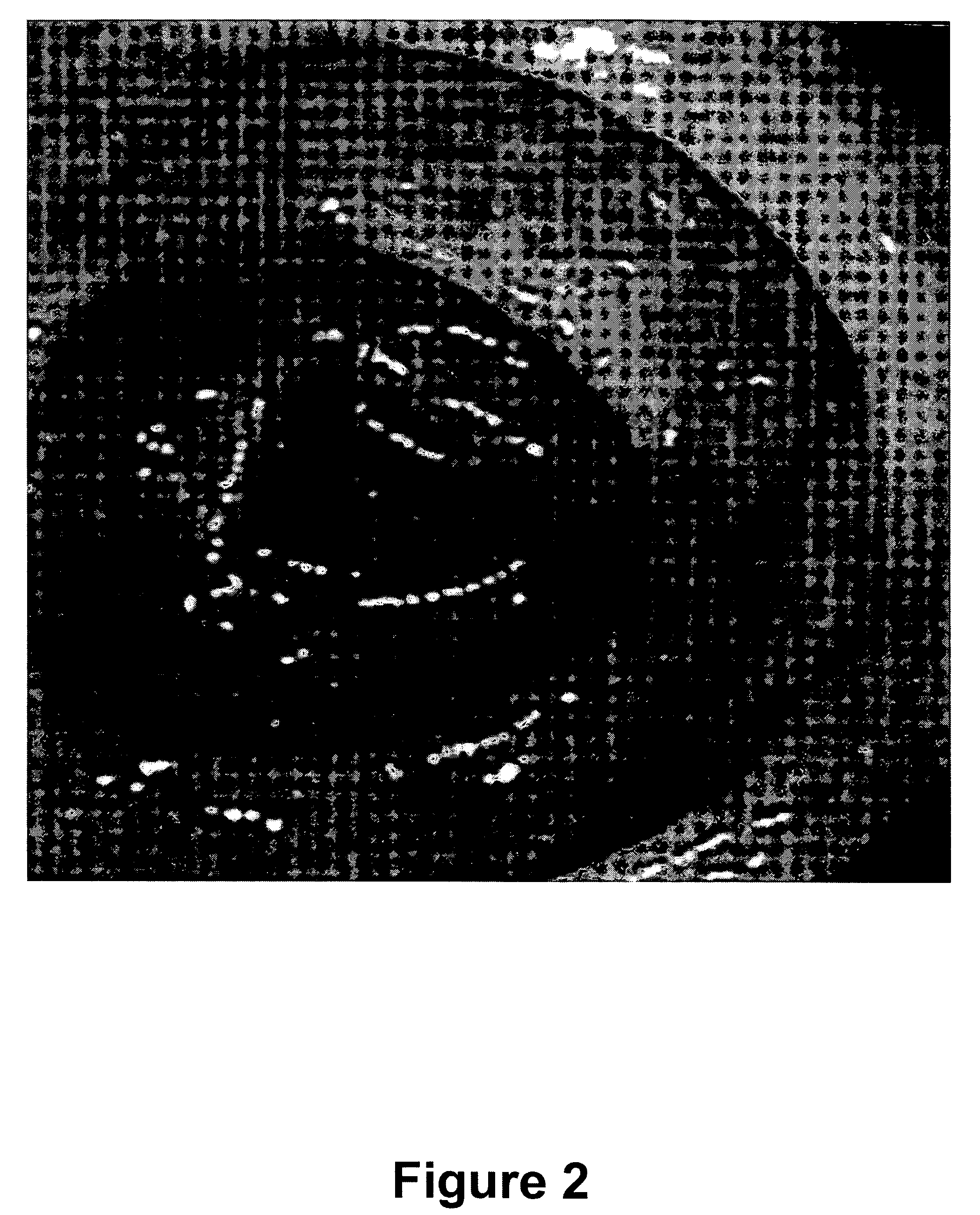 Colonic purgative composition with soluble binding agent