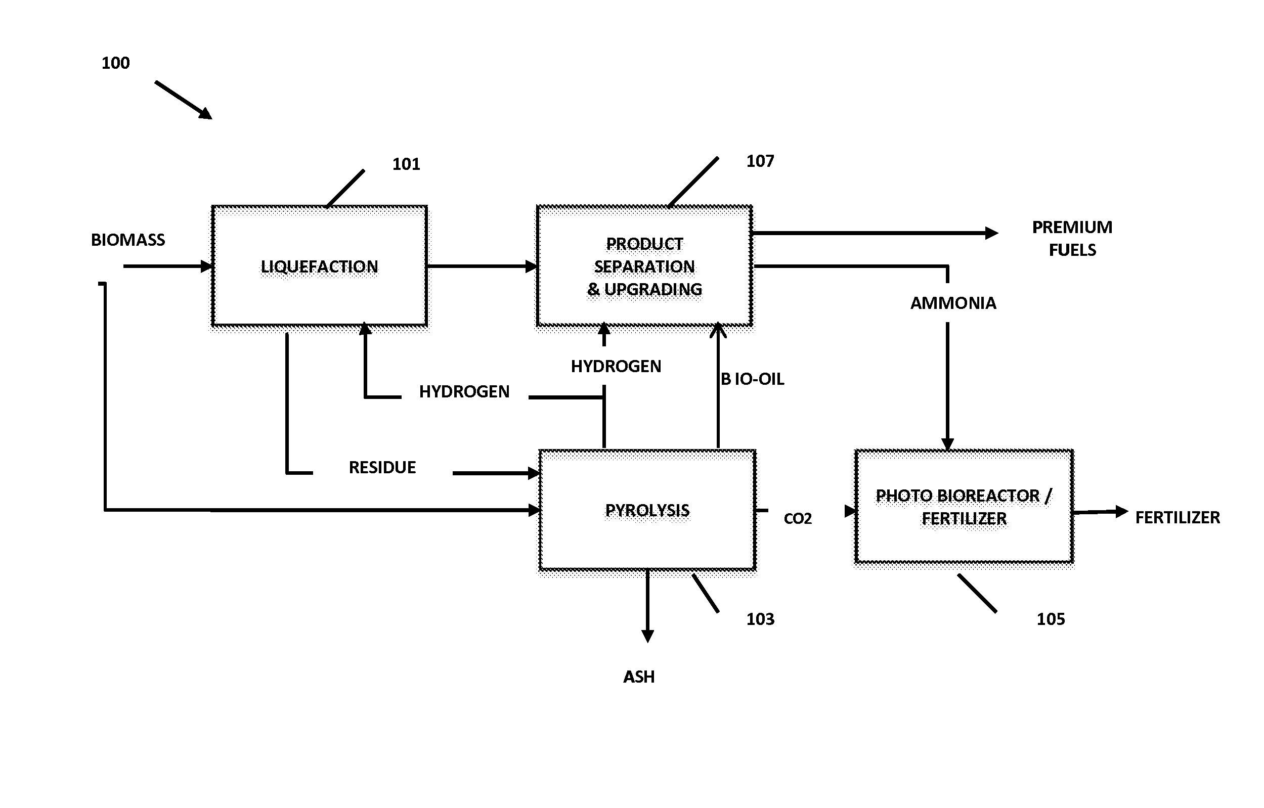 Integrated processes for producing fuels and biofertilizers from biomass and products produced