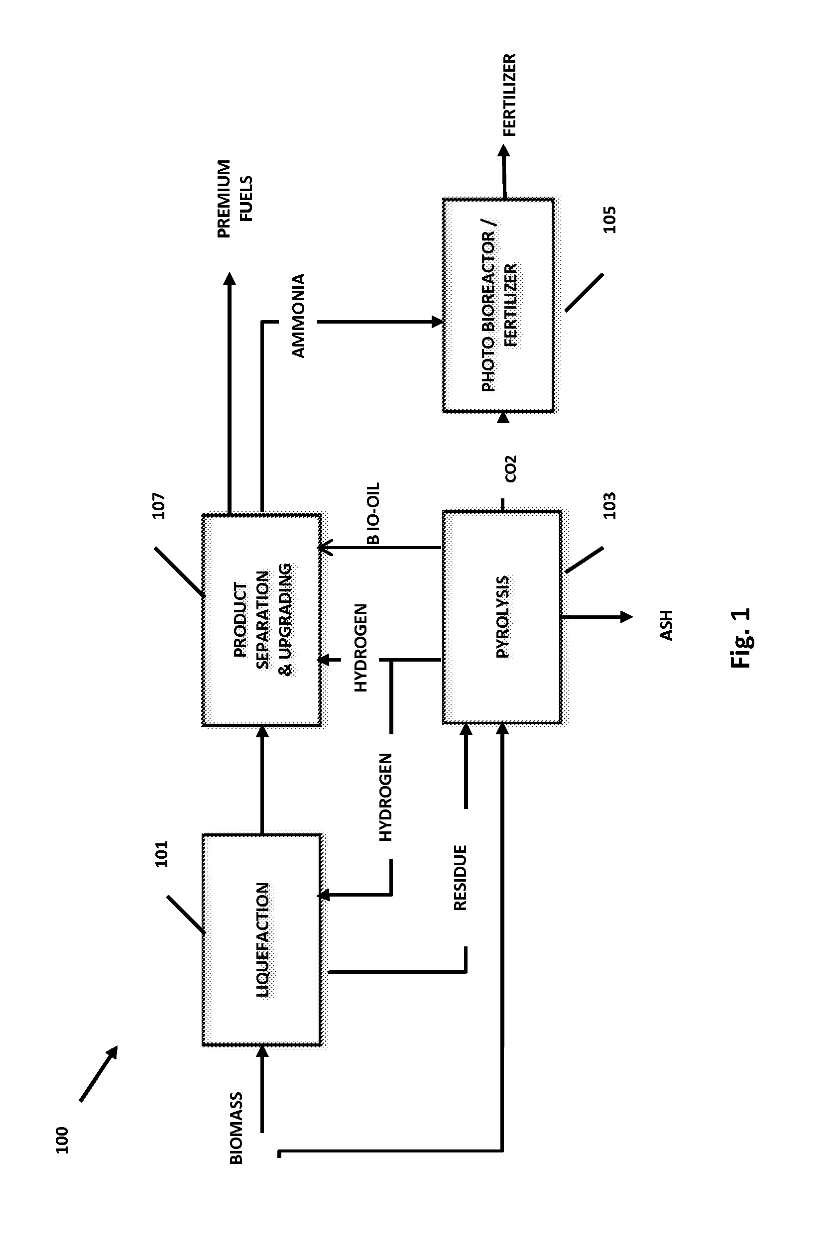 Integrated processes for producing fuels and biofertilizers from biomass and products produced