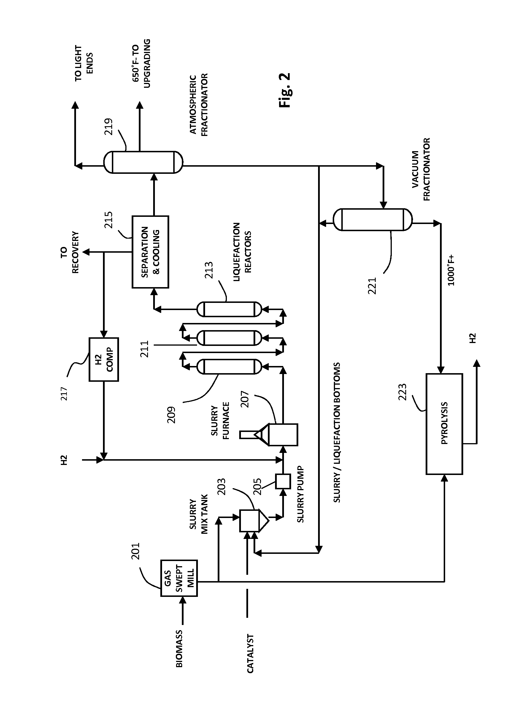 Integrated processes for producing fuels and biofertilizers from biomass and products produced