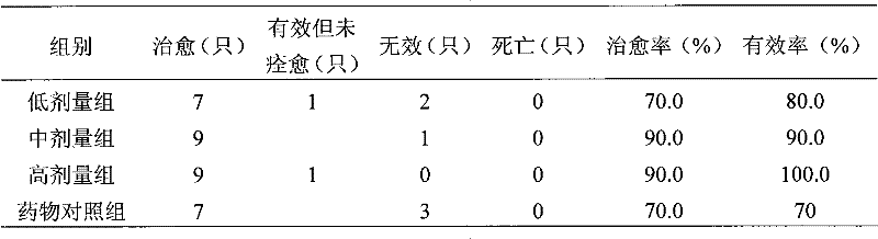 Compound Chinese medicine injection for treating porcine respiratory disease