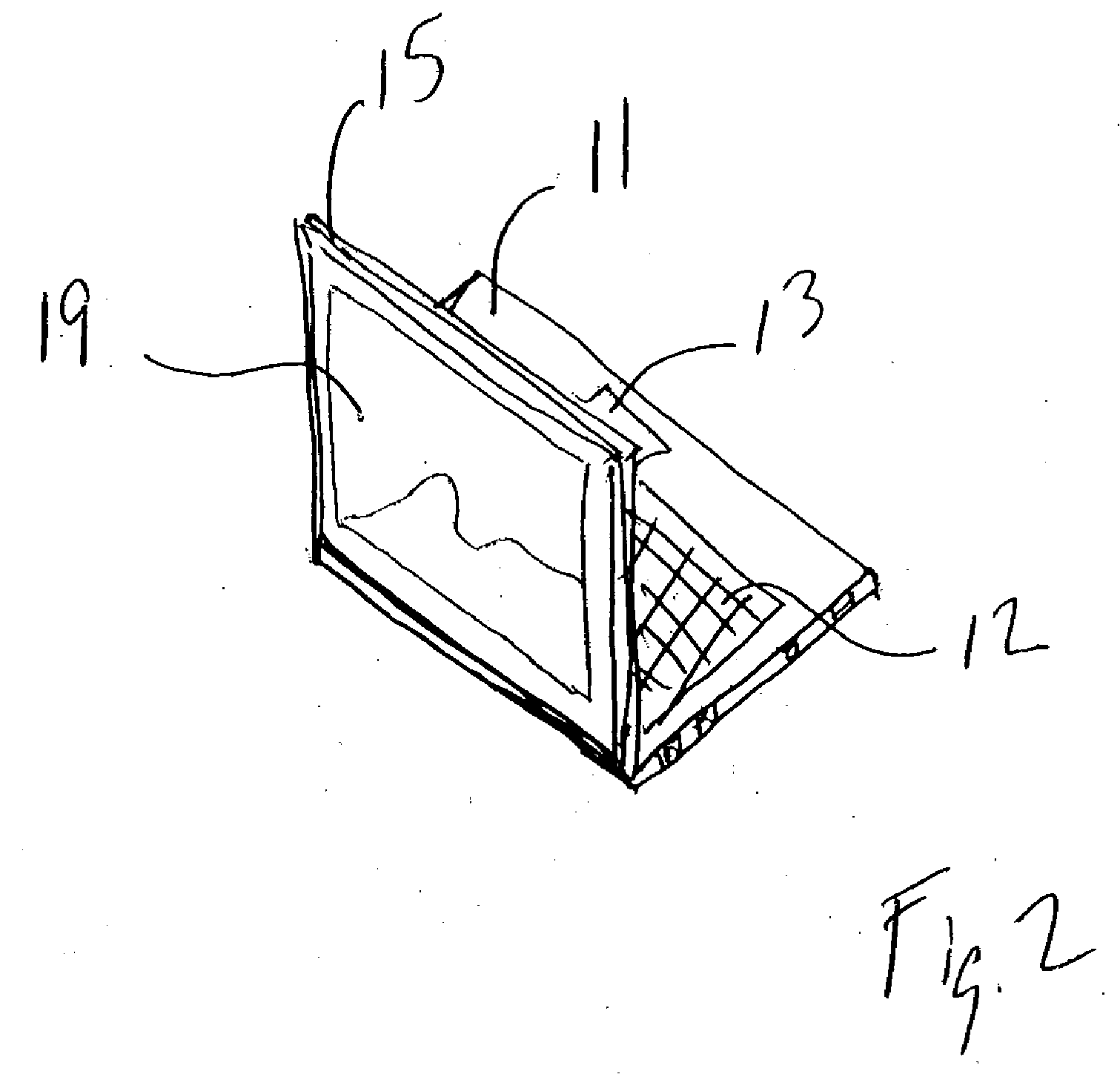 Electronic device with dual view displays