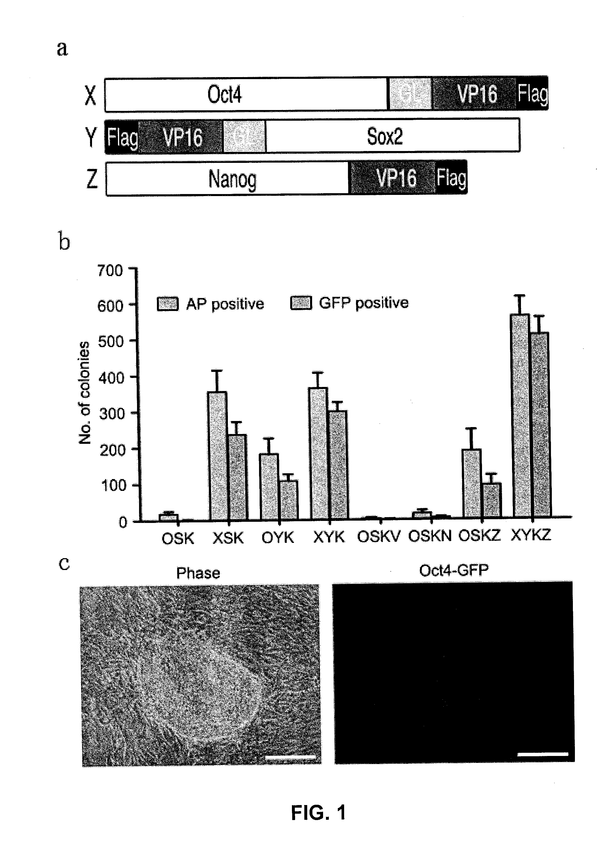 Inductive production of pluripotent stem cells using synthetic transcription factors