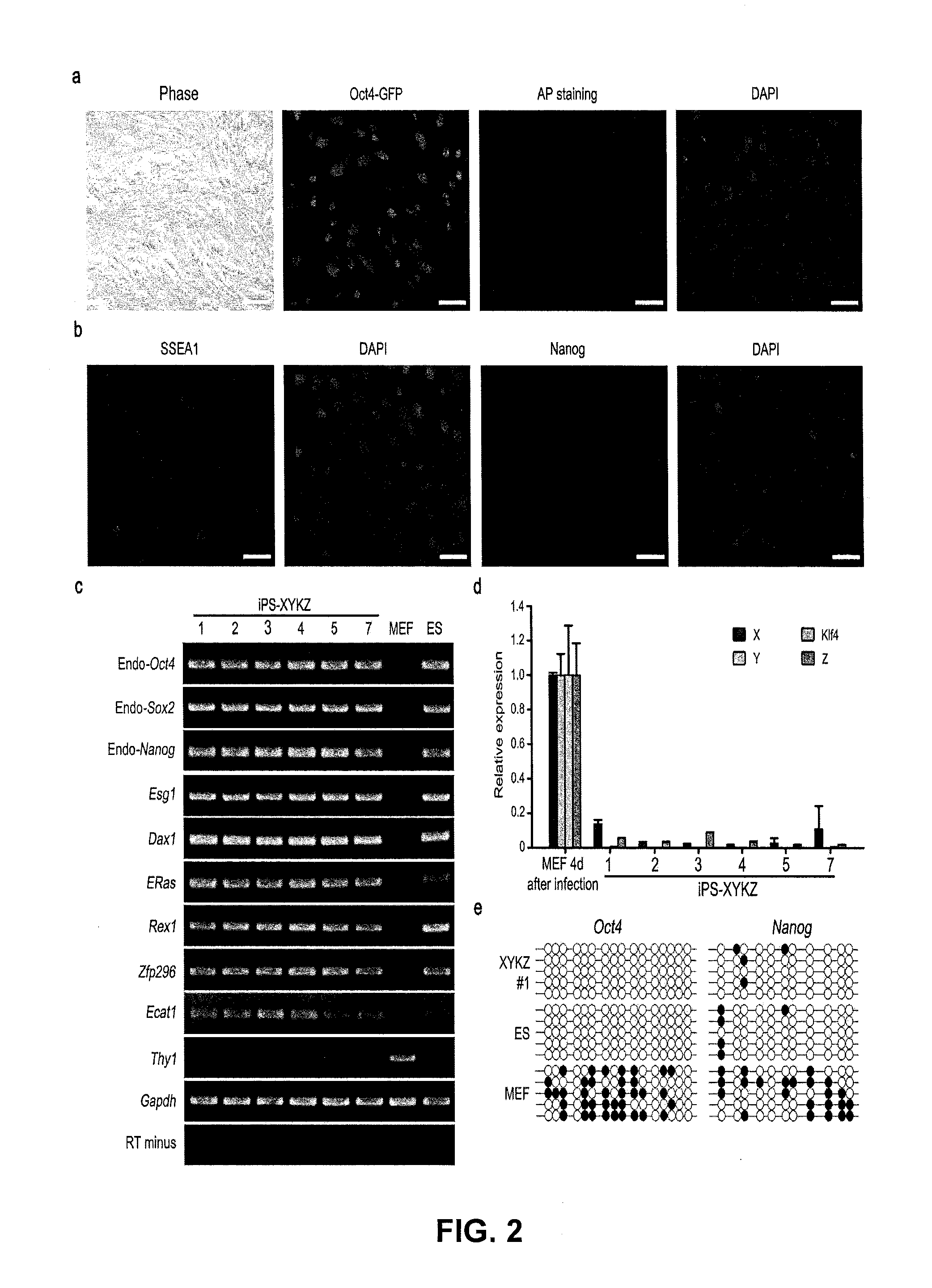 Inductive production of pluripotent stem cells using synthetic transcription factors