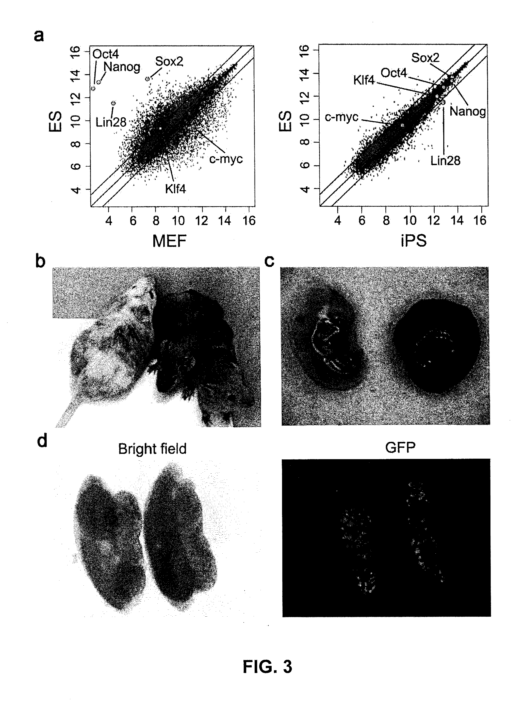 Inductive production of pluripotent stem cells using synthetic transcription factors