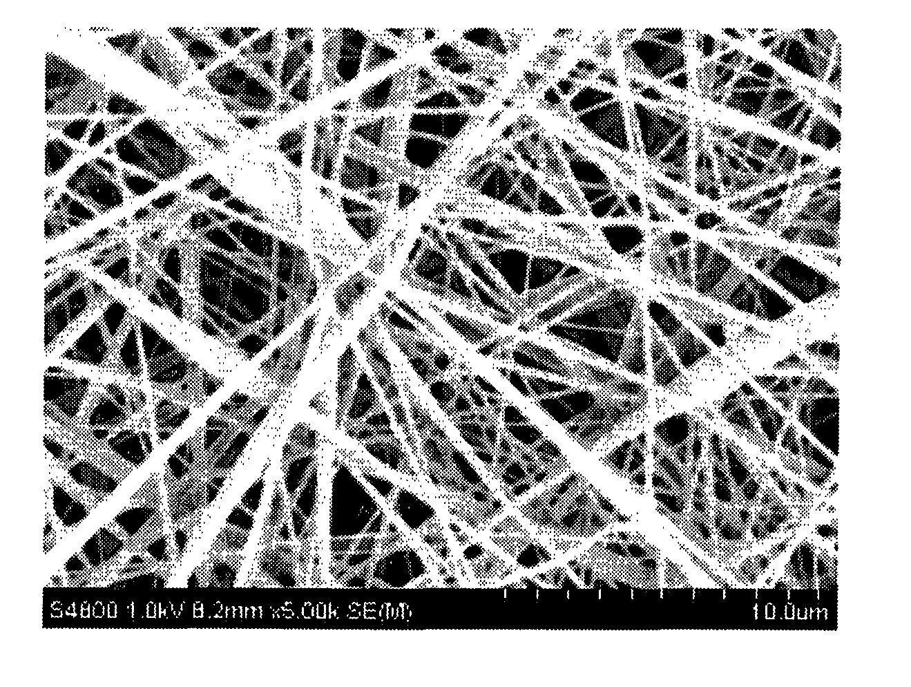 Antibacterial nanofiber