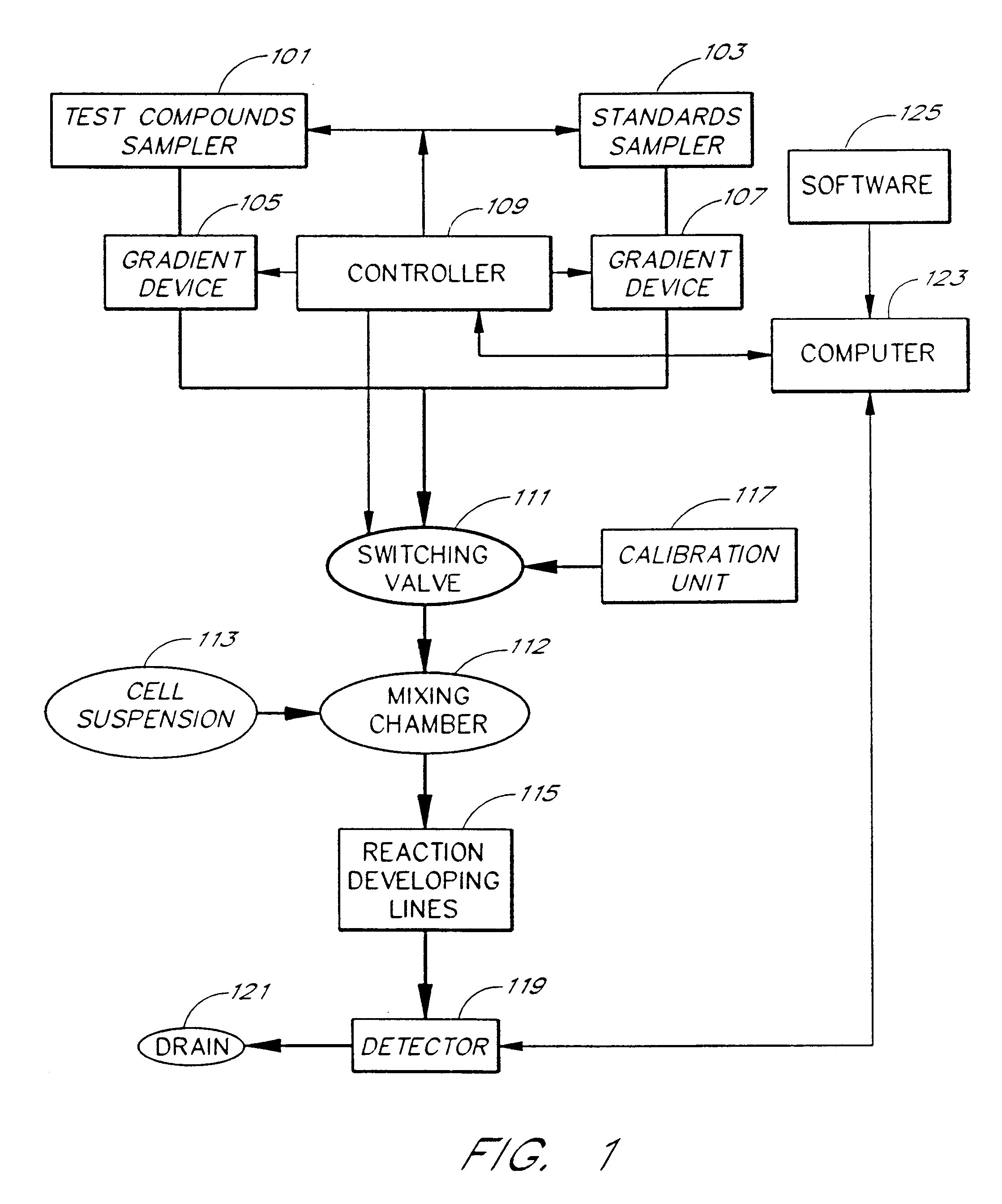 Apparatus and method for real-time measurement of cellular response