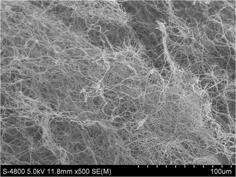 Three-dimensional oil-water separating material based on static spinning technology and preparation method thereof