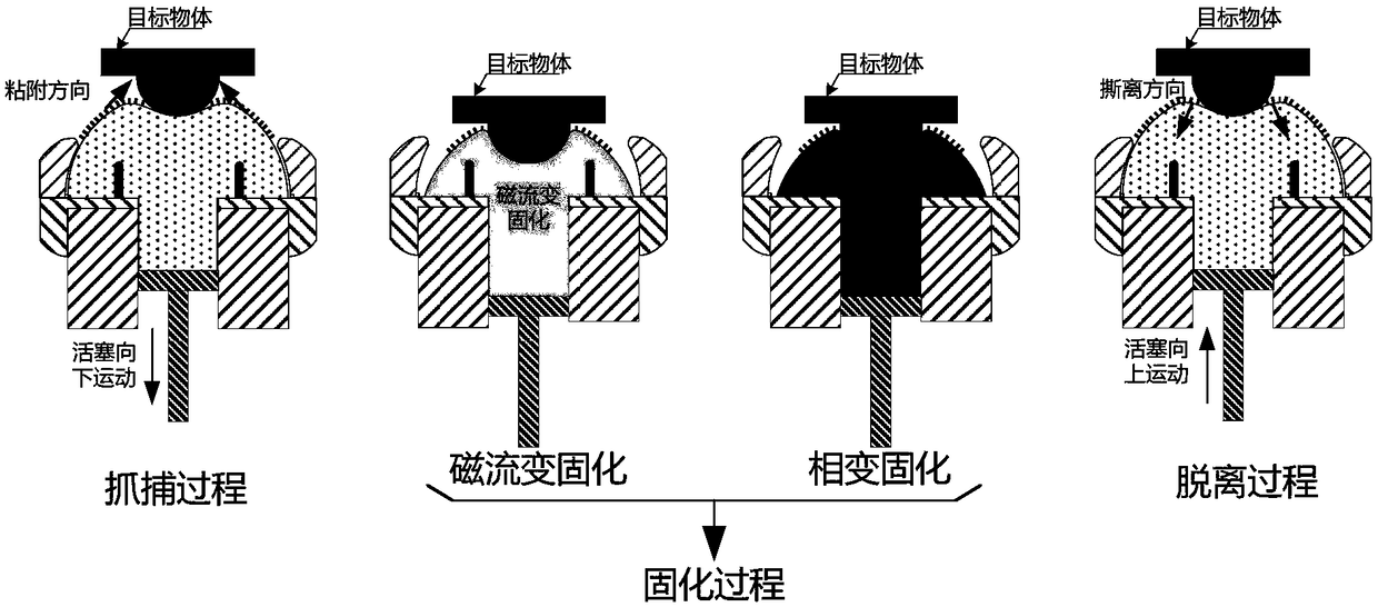 Flexible catching mechanism