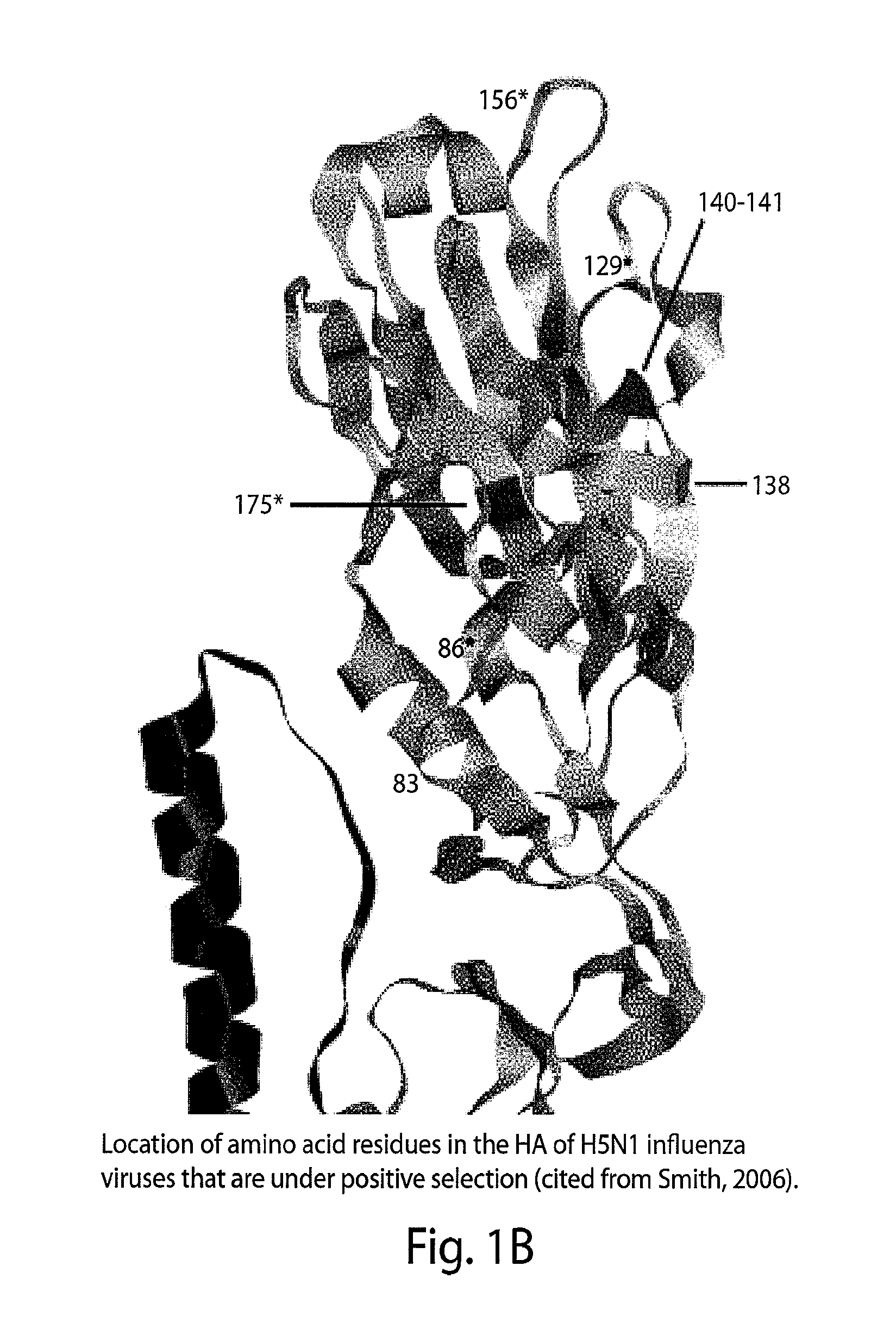 Antibodies against influenza virus and methods of use thereof