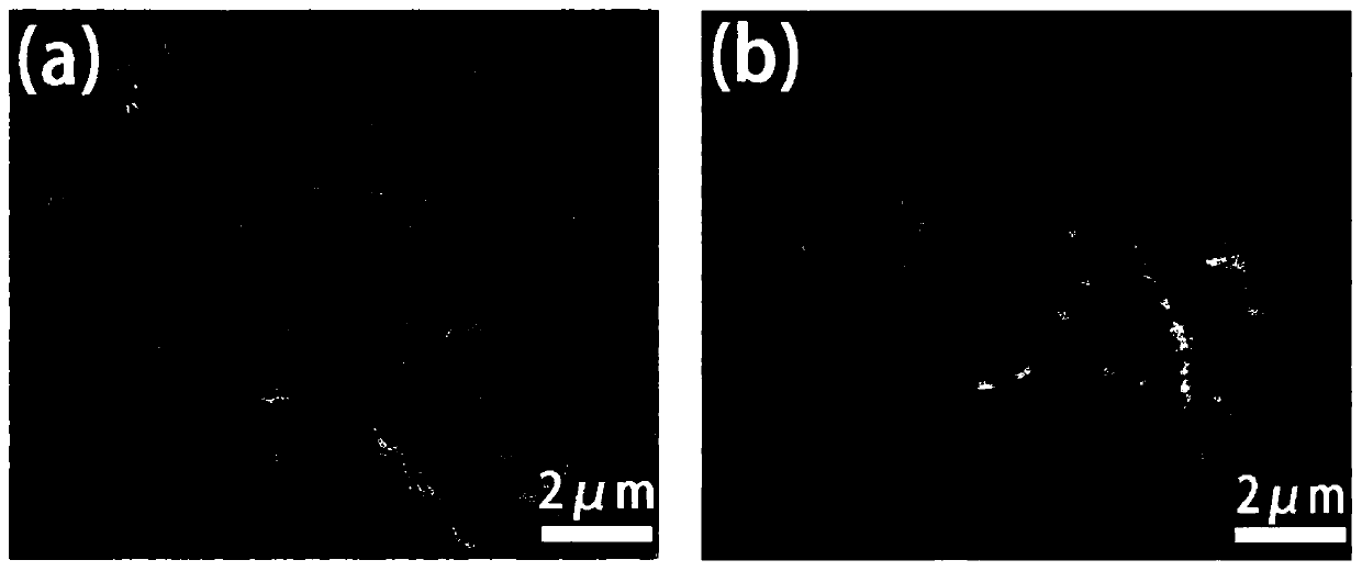 Method for preparing metal/metal oxide composite electrocatalyst