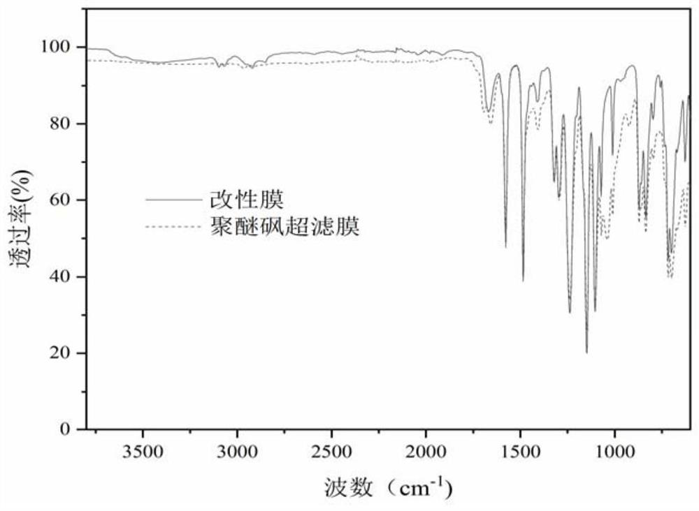 High-enzyme-activity modified membrane and preparation method thereof