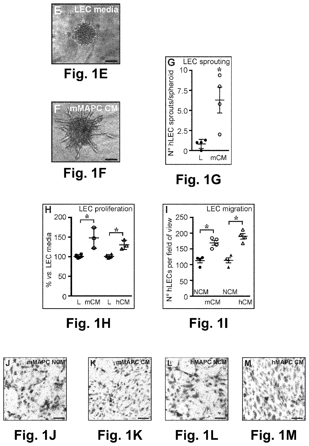 Stem cells for wound healing