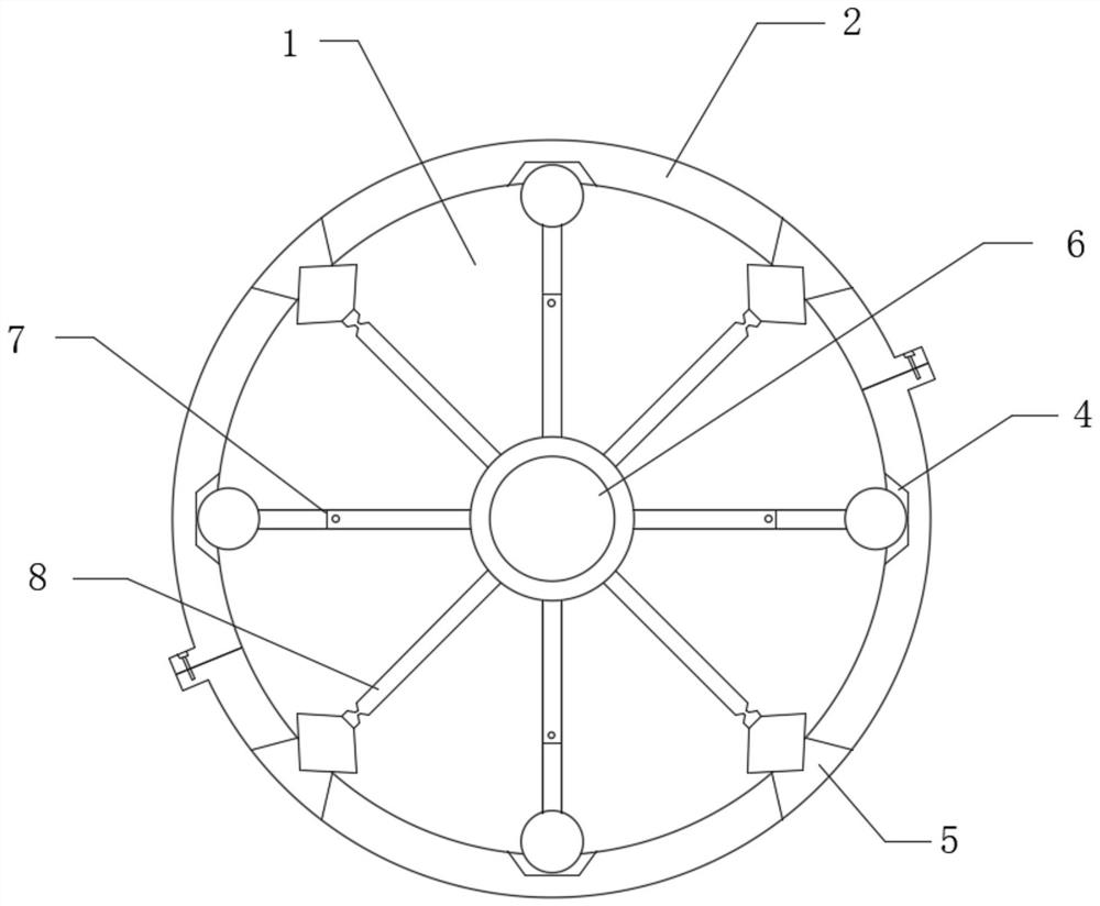 Ion ceramic structure with built-in protein particles and application of ion ceramic structure