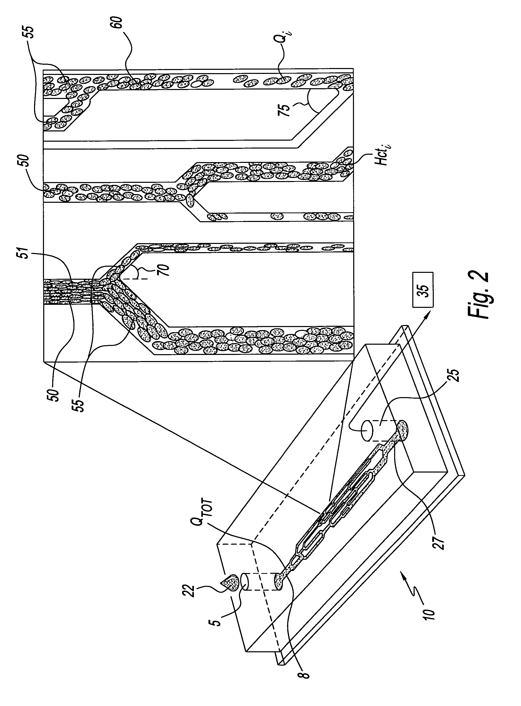 System for assessing the efficacy of stored red blood cells using microvascular networks