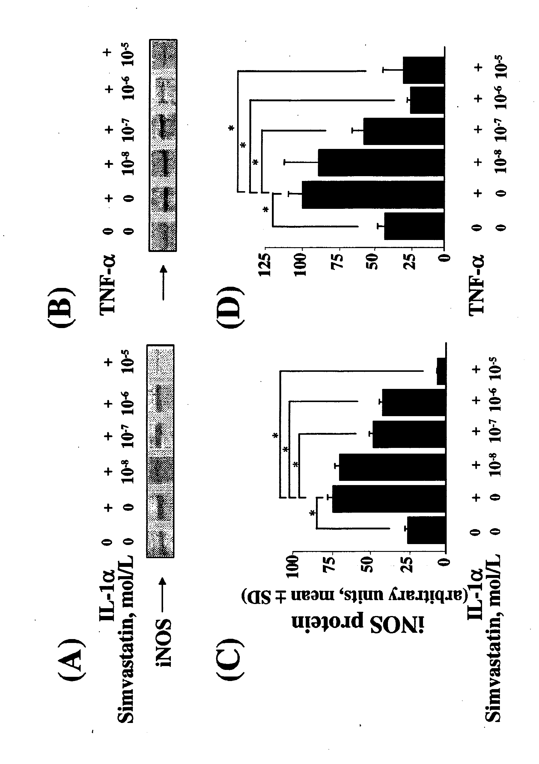 Myogenic Development and Protection of Stem Cells Against Inflammation and Apoptosis By Statins and Isoprenoid Pathway Inhibitors