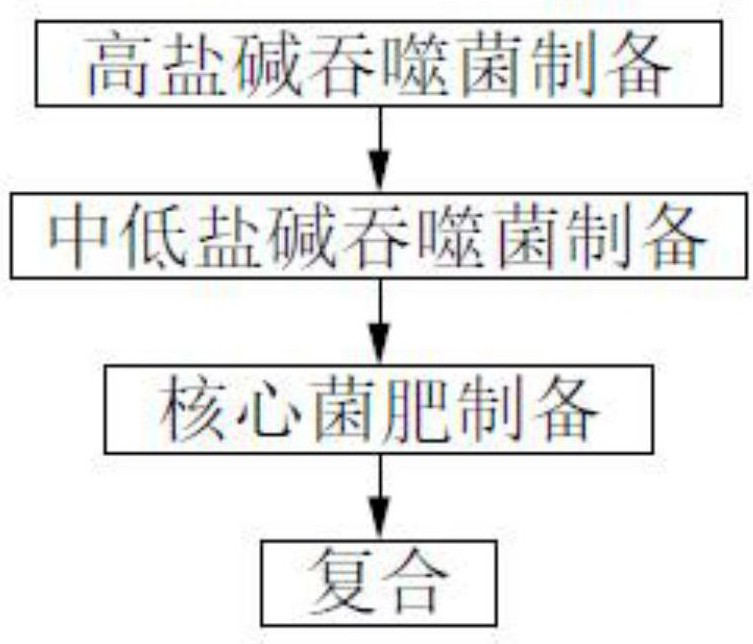 Organic microbial compound fertilizer for improving saline-alkali soil and preparation method of fertilizer