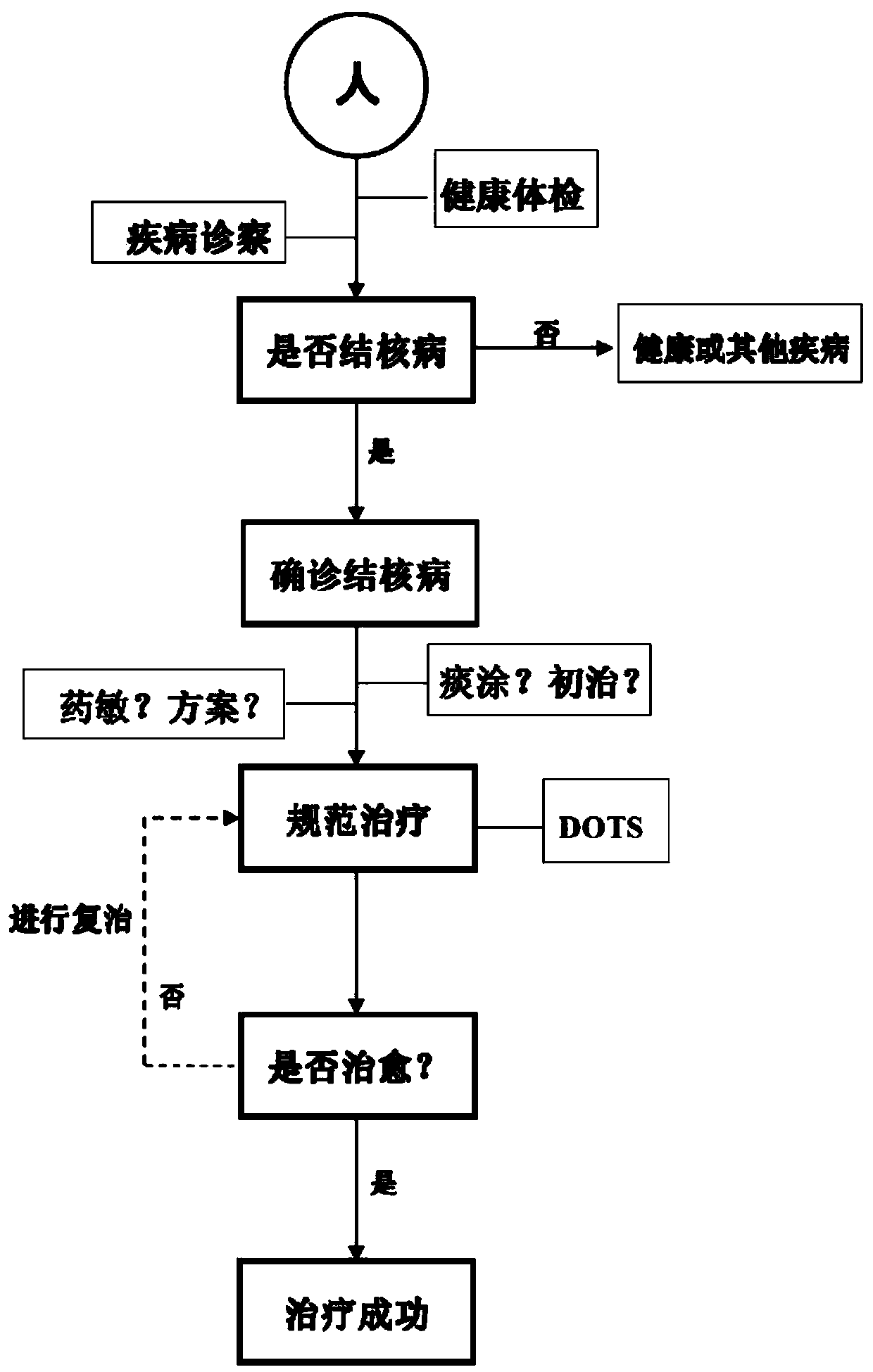 Control and management method for tuberculosis on basis of disease control theory