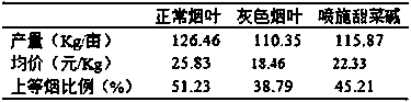 Flue-cured tobacco management and baking method based on betaine application for relieving gray smoke