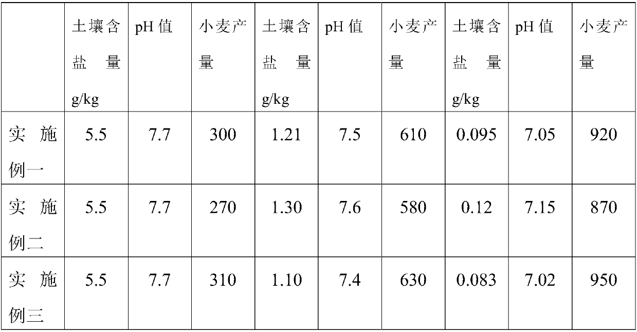 Microbial bacterium fertilizer aiming at soda salinization saline-alkali soil and preparation method of microbial bacterium fertilizer