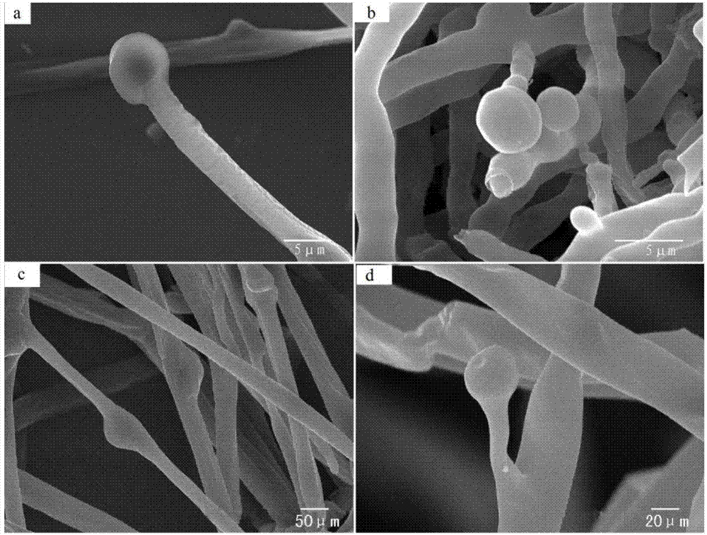 Mortierella alpina mutant strain capable of producing high-yield arachidonic acid, and fermentation method and application thereof