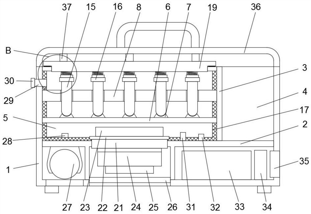 Ferghana horse genome preservation system