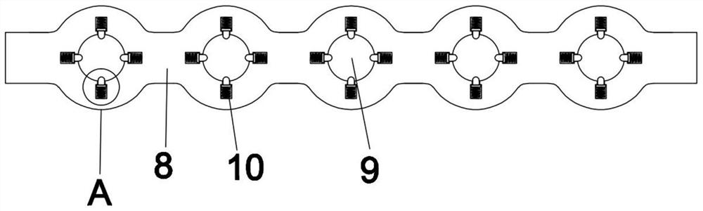 Ferghana horse genome preservation system