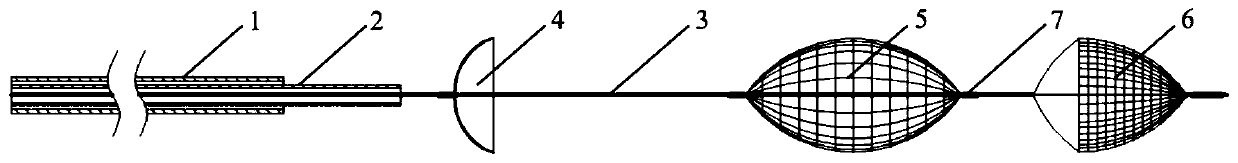 Thrombus capturing device