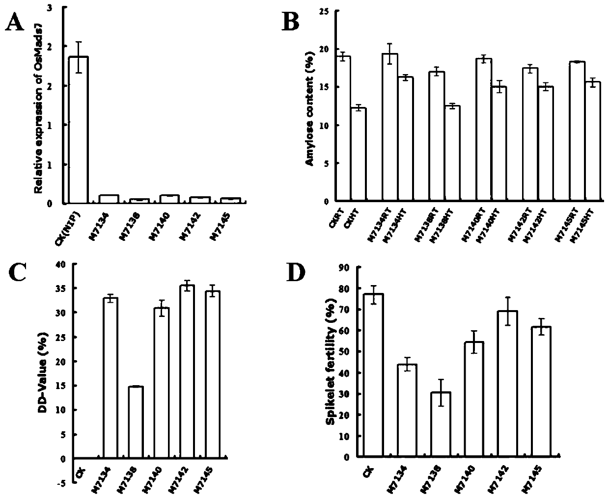 Endosperm-specific down-regulation of osmads7 gene expression to improve the tolerance of rice amylose content to high temperature