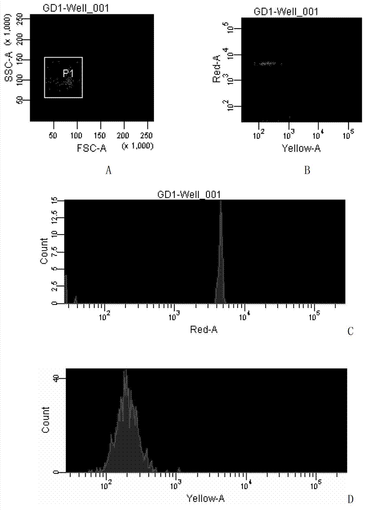 Method for detecting viral haemorrhagic septicaemia virus based on liquid chip