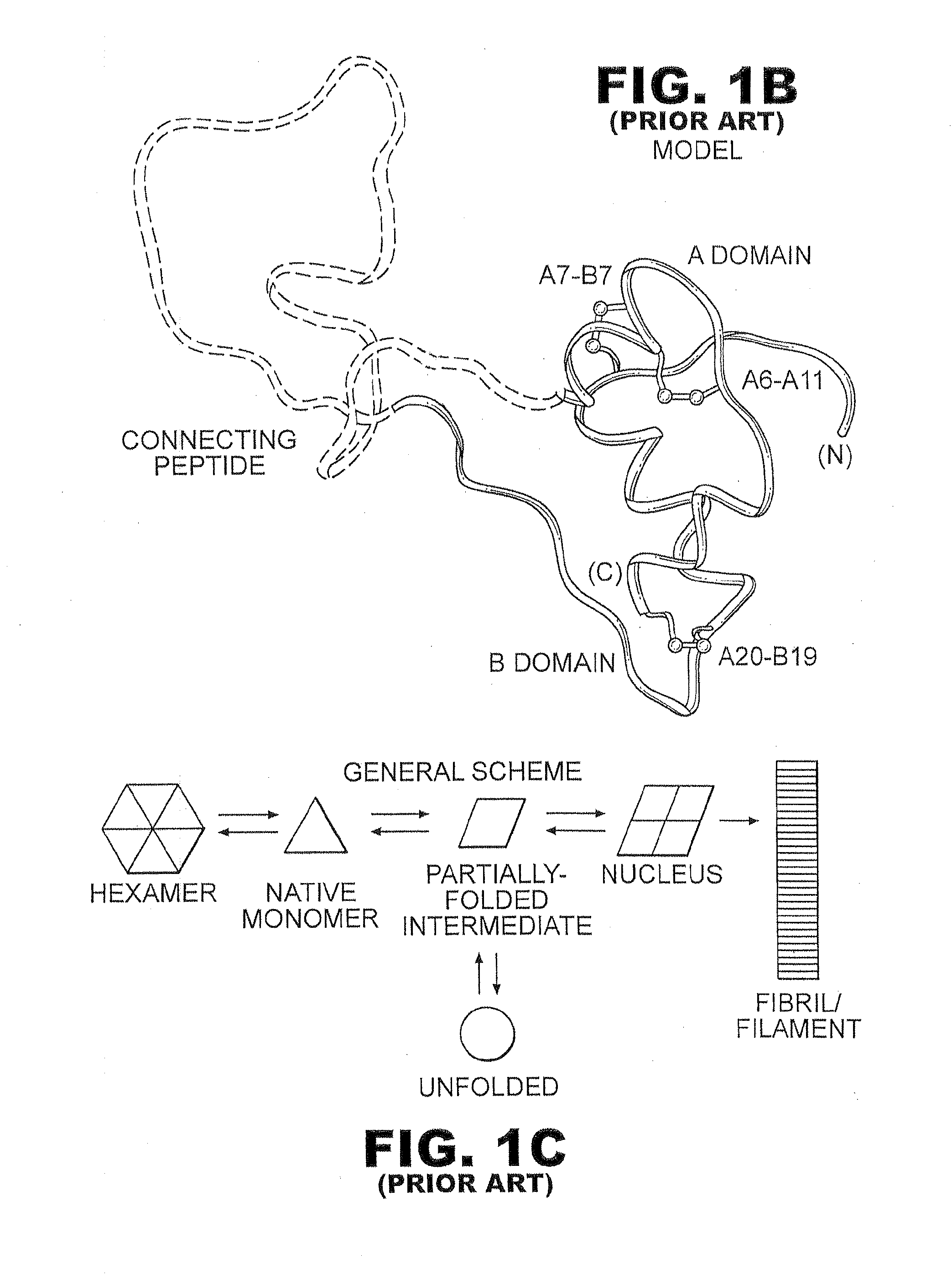 Insulin analogues of enhanced receptor-binding specificity