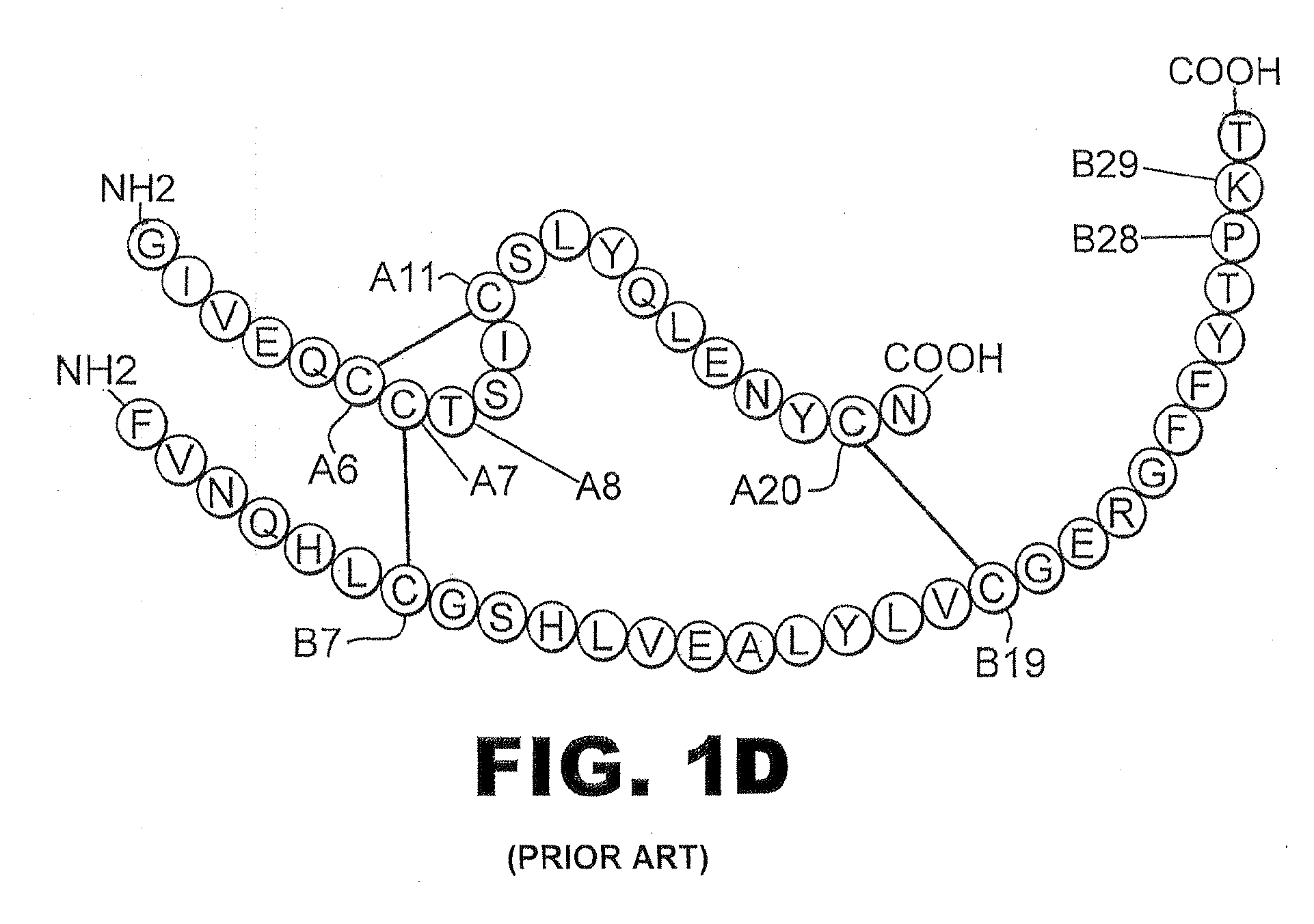 Insulin analogues of enhanced receptor-binding specificity