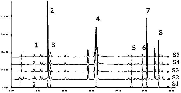 A kind of preparation method of honeysuckle extract