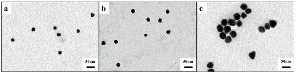 Nano-silver preparation for inhibiting mould Gra04 growth and preparation method thereof