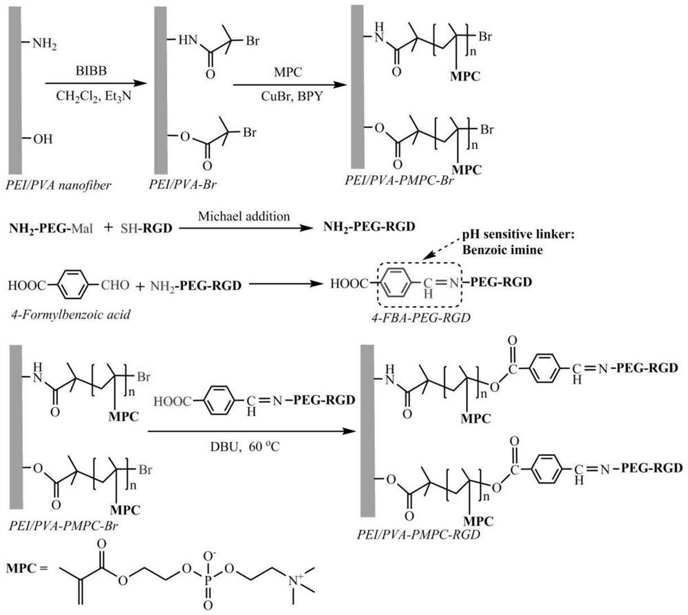 A method for preparing a microfluidic chip embedded with zwitterionic functionalized nanofiber membranes