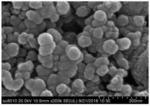 Preparation method and application of environment-friendly electro-Fenton negative electrode