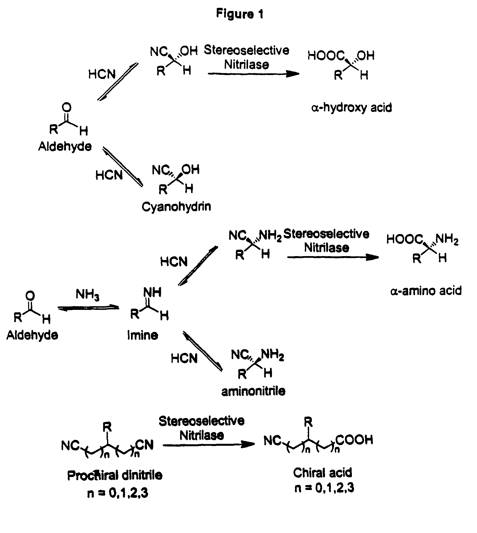 Nitrilases, nucleic acids encoding them and methods for making and using them