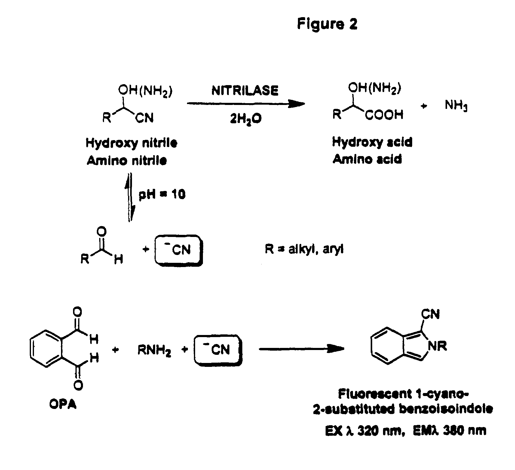 Nitrilases, nucleic acids encoding them and methods for making and using them