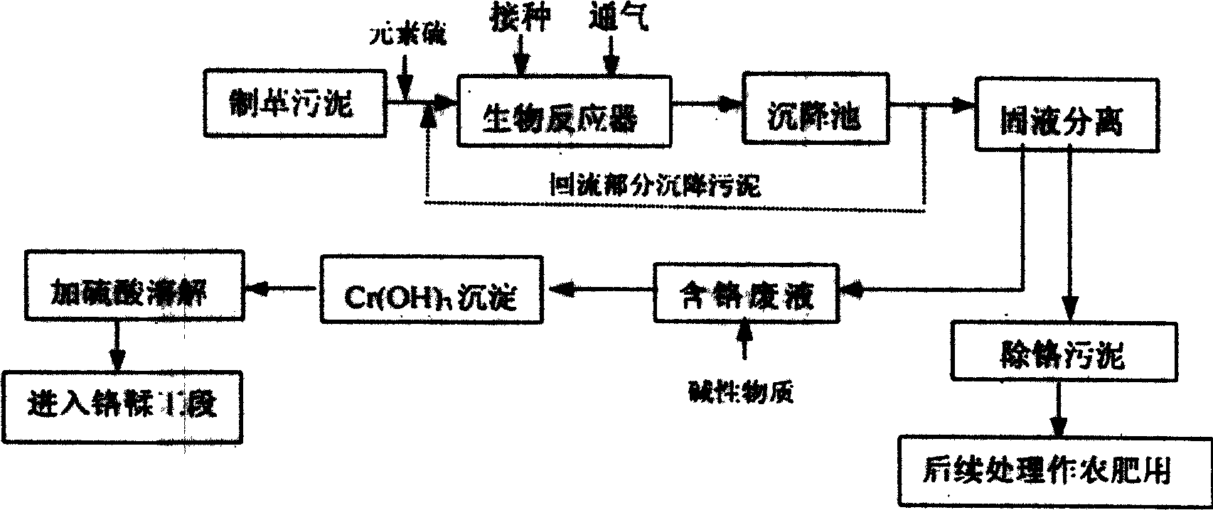 Thiobacillus thiooxidans and biological eliminating method of chromium in tanning sludge