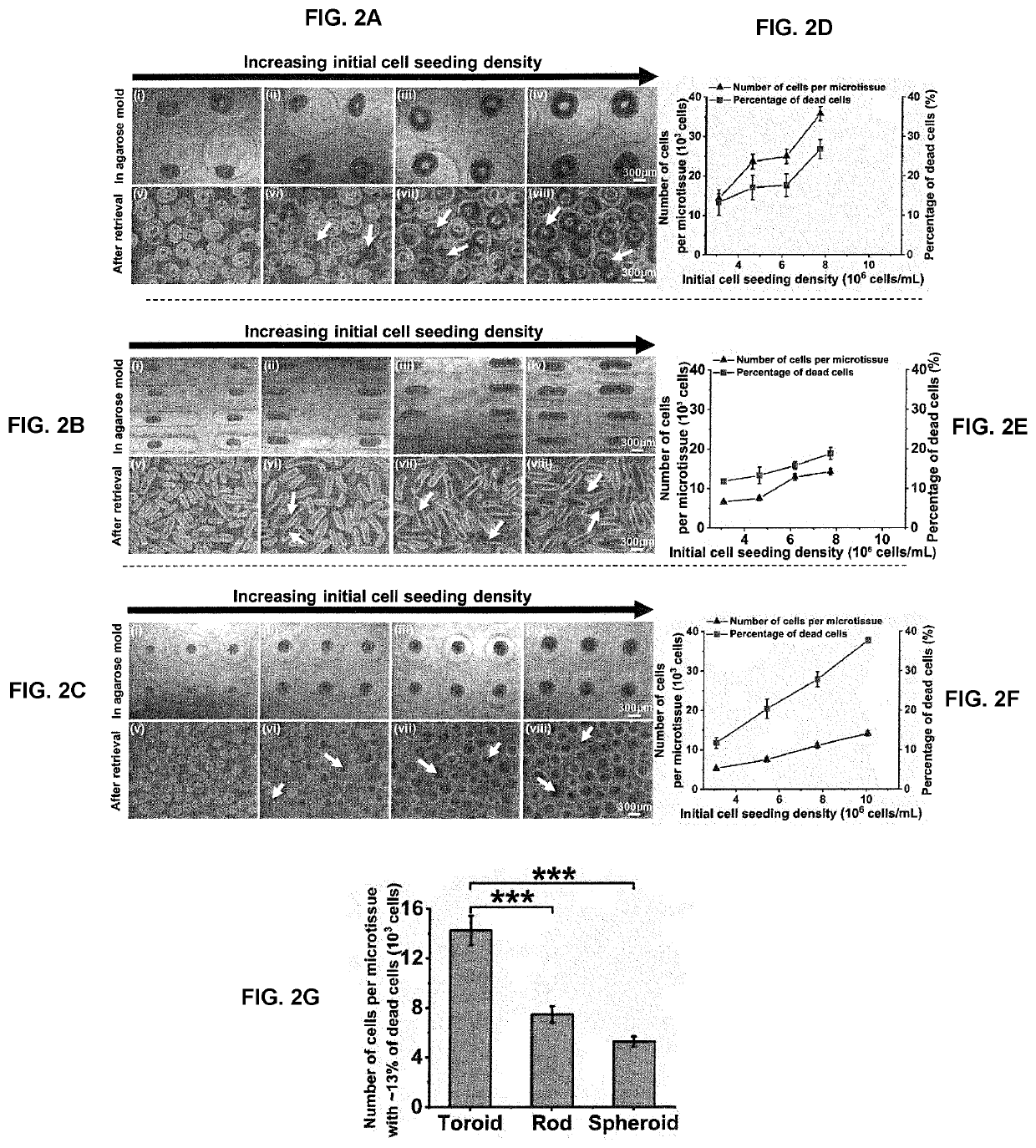 Therapeutic hydrogel device