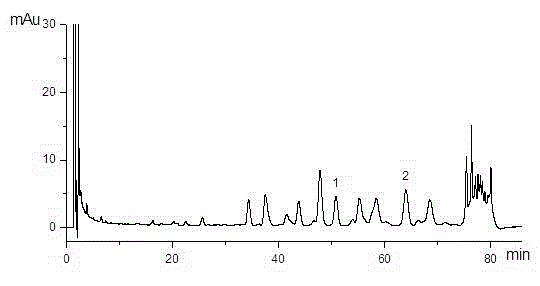 Method for controlling quality of ganoderma lucidum alcohol extract