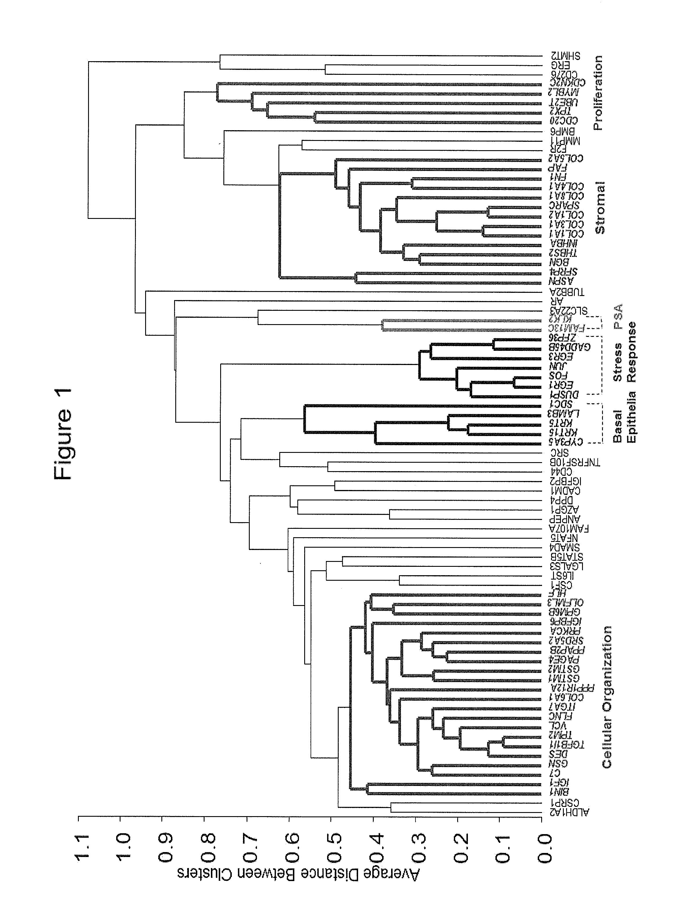 Gene Expression Profile Algorithm and Test for Determining Prognosis of Prostate Cancer