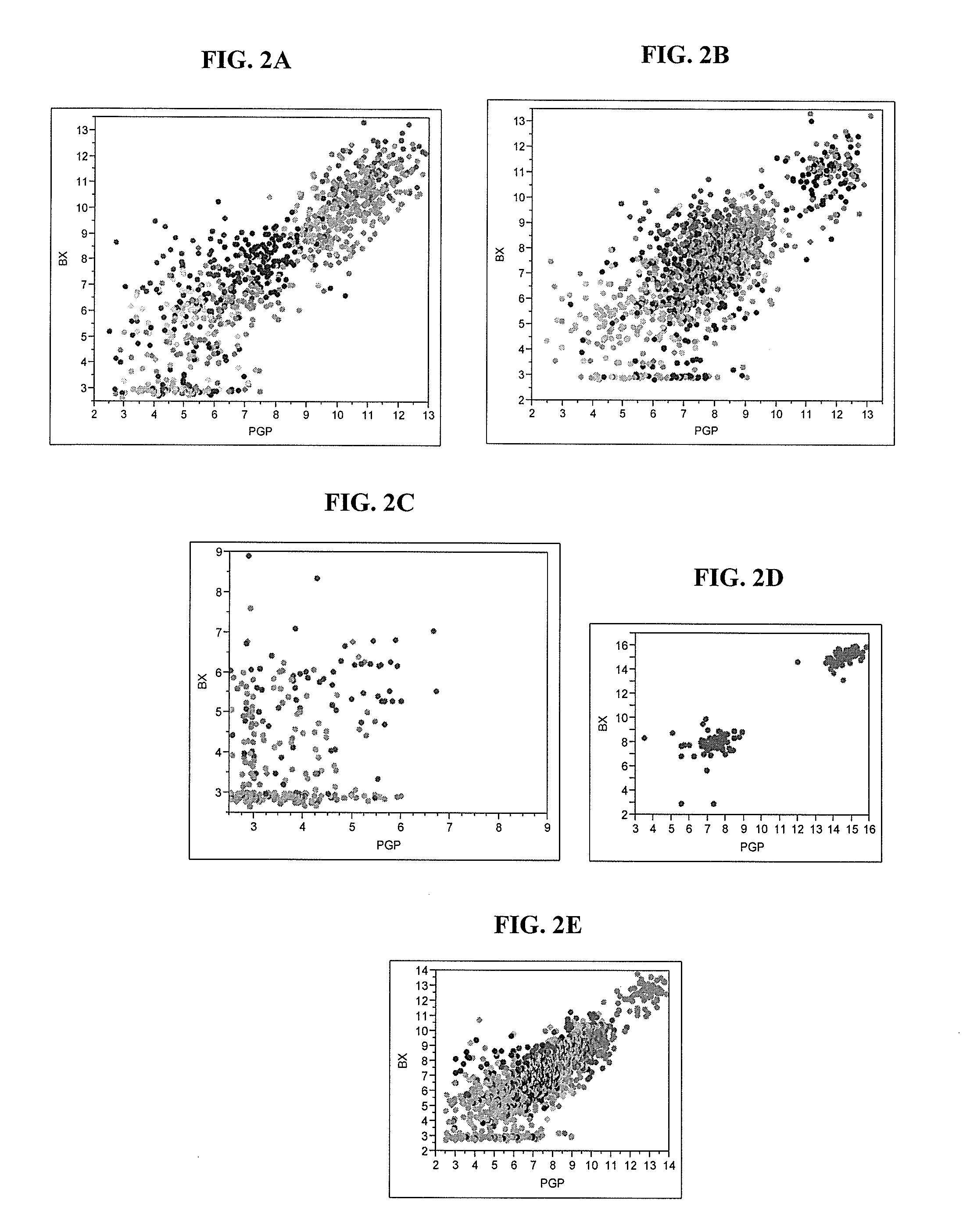 Gene Expression Profile Algorithm and Test for Determining Prognosis of Prostate Cancer