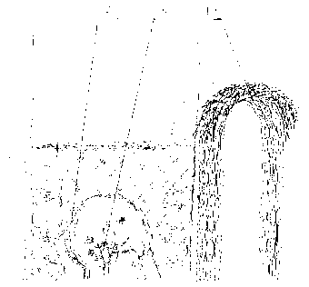 Combined culture method for vine plants