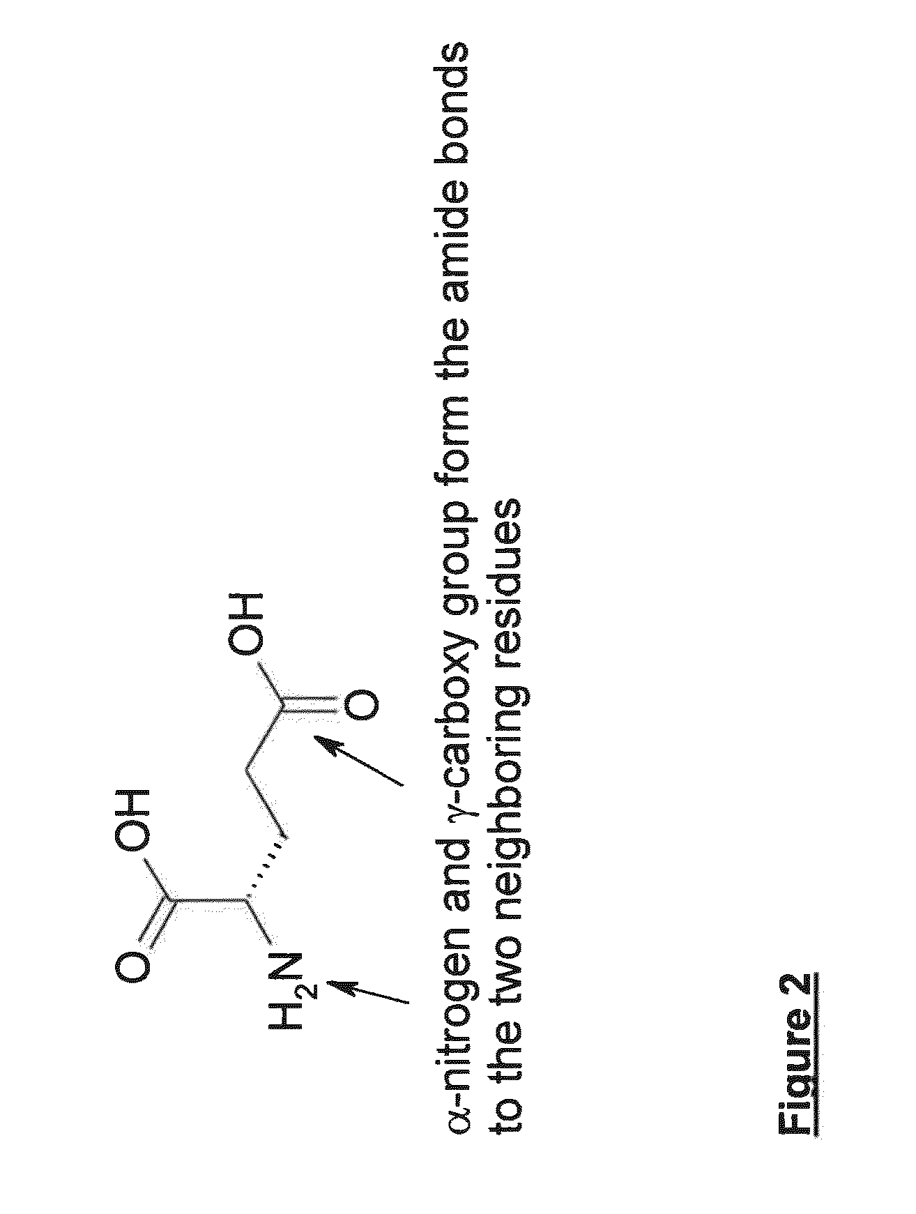 Polypeptides